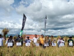 Walau Dilanda Kekeringan, Petani di Kampung Mentan Sukses Panen Tembus 7,3 Ton Per Hektare