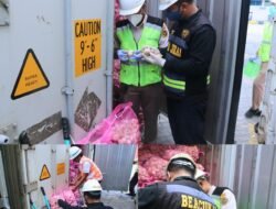 Pemeriksaan Fisik Barang Impor Jalur Merah di Makassar Memperkuat Keamanan Pasar