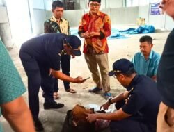 Bea Cukai Makassar Bantu PT Sulawesi Cocofiber Indonesia Memenuhi Persyaratan Ekspor