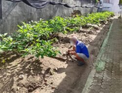 Rutan Selayar Dorong Ketahanan Pangan Lewat Budidaya Tanaman Produktif