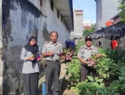 Rutan Selayar Panen Terong dan Bayam, Bukti Pemanfaatan Lahan untuk Ketahanan Pangan