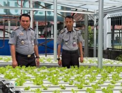 Pembinaan Hydroponik WBP Lapas Makassar, Tingkatkan Keterampilan dan Produktivitas
