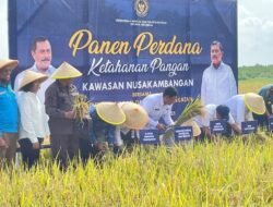 Nusakambangan Jadi Lumbung Ketahanan Pangan, Menteri Agus Andrianto Tinjau Hasil Panen dan Program Pemberdayaan Warga Binaan