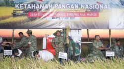 Pangdam XIV/Hasanuddin Ikuti Panen Raya TNI di Maros, Perkuat Ketahanan Pangan Nasional
