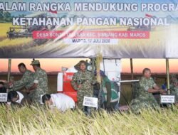 Pangdam XIV/Hasanuddin Ikuti Panen Raya TNI di Maros, Perkuat Ketahanan Pangan Nasional