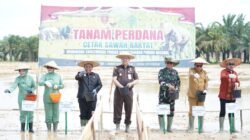 Pangdam Hasanuddin Turun ke Sawah, 1.998 Hektare Cetak Sawah Digenjot di Sultra
