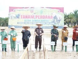 Pangdam Hasanuddin Turun ke Sawah, 1.998 Hektare Cetak Sawah Digenjot di Sultra